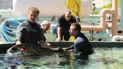 David Hasselhoff, Brett and Wayde watching as Chris reaches into the water for the shark.