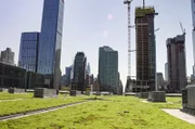 Zusammen mit dem New Yorker Messezentrum begrünt die Umweltorganisation New York Audubon Society das fast 30.000 Quadratmeter große Dach des Javits Centers und schafft damit einen einzigartigen Lebensraum für Insekten, Fledermäuse und Vögel.