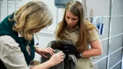 Bindi gives three foot an urchin, who suffers from a skin allergy.