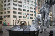 In dieser riesigen Metropole, in der rund 8,5 Millionen Menschen leben, ist nicht viel Platz für Tiere. Und doch sind sie da, wie dieser Waschbär am Central Park.