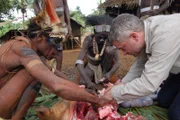Papua-Neuguinea, Westprovinz: Piers Gibbon hilft beim Schlachten eines Schweins für das Willkommensfestmahl. Die Menschen wurden auf die gleiche Weise geschlachtet und gekocht, und zwar mit den gleichen Bambusmessern.