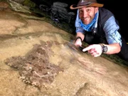 Coyote gets up close with a Wobbegong Shark