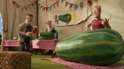 Wer hat die schönsten Zucchini? Der Farmer ärgert sich über Farmer Ben.