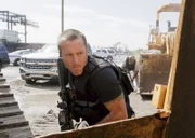 Alex O'Loughlin (Steve McGarrett).