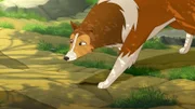 Lassie - Das Seeungeheuer 3