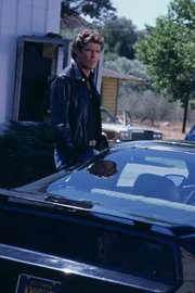 Michael Knight (David Hasselhoff)