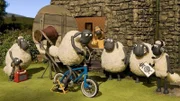 Sheeps, Bitzer, Shaun