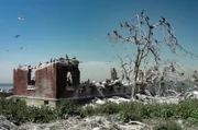 Eine Kormorankolonie auf Swinburne Island: Die hier am meisten verbreitete Kormoranart ist die Ohrenscharbe.