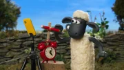 Mit dieser erstklassigen Kamerafalle will Shaun den flinken Nussdieb auf frischer Tat ertappen.