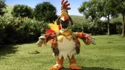 Ein komischer Vogel hat sich auf der Farm eingefunden. Woher der wohl kommt?