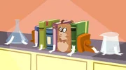 Hamster