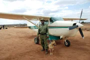Mit Hilfe von Spürhunden ziehen in Kenia und Tansania Tierschützer in den Kampf gegen Wilderer. In den Weiten Ostafrikas ist das Kleinflugzeug das mit Abstand beste Verkehrsmittel.