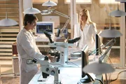 Calleigh Duquesne (Emily Procter) und Ryan Wolfe (Jonathan Togo) versuchen im Labor herauszufinden, womit Richard Laken erschlagen wurde.