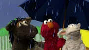 Haben Spaß im Regen: Pferd, Elmo, Wolle (v.l.n.r.)