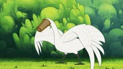 Schwan Hokuspokus ist orientierungslos. Er kann plötzlich nichts mehr sehen. Bei der Suche nach etwas Essbarem ist er mit dem Kopf in einem Pappbecher stecken geblieben und braucht jetzt Hilfe.
