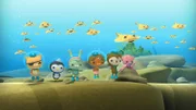 (V.li.) Kwasi, Peso, Trixie, Dana, Sebastian, Professor Tintling und die Zitterrochen beobachten, wie Käptn Barnius und Schildkröte Sandy das Oktopod retten.