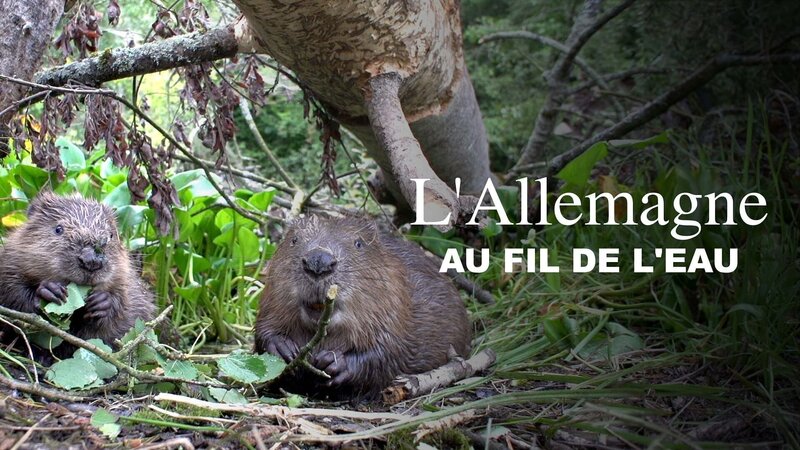 Wildes Deutschland - die Lausitz (D, 2013)