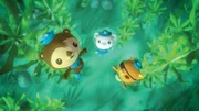 (V.li.) Sebastian, Peso und Kwasi begeben sich in den gefährlichen Kelpwald, um das verlorengegangene Mini-U-Boot zu suchen...