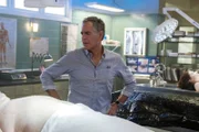 Special Agent Dwayne Pride (Scott Bakula)