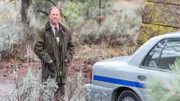 Detective Willits (Louis Herthum)