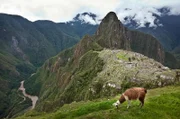 Machu Picchu.