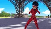 Ladybug