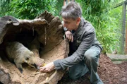 Chef-Tierpfleger Conny Weidner (Thorsten Wolf) macht sich Sorgen um den letzten Nasenbären im Leipziger Zoo, der einfach nicht fressen will.