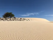 Der Wüstensand auf der Insel Boa Vista bildet die schönsten Sandstrände der Kapverden.