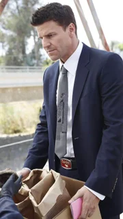Booth (David Boreanaz) und Brennan untersuchen die Leichteile, die über Kilometer verstreut auf einer Bahnstraße gefunden wurden.