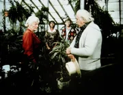 Erst Sam (Will Geer, r.) kann die hartherzige Miss Unwin (Ernestine Barrier, l.) davon überzeugen, Verdie (Lynn Hamilton, 2.v.l.), die von Jason (Jon Walsmley, 2.v.r.) unterstützt wird, Zugang zu dem Dachboden zu gewähren.