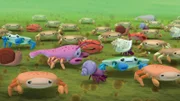Eine Algenplage macht die Meeresbewohner krank. Krebse, Krabben und Hummer kapern die Zentrale der Oktonauten, um sich mit dessen Hilfe ein neues sauberes Zuhause zu suchen.