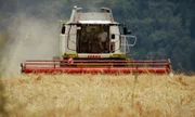 Eher selten zu zweit im Mähdrescher: Meist ist Bauer Jürgen alleine auf seinem teuren, hochtechnisiertem Gerät unterwegs.
