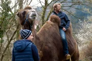 Auf dem Kamel durch den Schwarzwald: Feriengast Jobst Lauer (Kai Scheve) nutzt das neue Angebot von Bauer Merz. Pawel Kulka (Moritz Knapp) soll ihn führen und Nelly darf auch mit. An ihr zeigt Jobst ein besonderes Interesse.