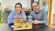 Anna und Thomas bauen zusammen ein neues Zuhause für ein Ameisenvolk, ein sogenanntes Formicarium.