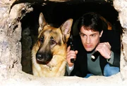 Rex und Kommissar Brandtner (Gedeon Burkhard) machen sich in den Katakomben von Wien auf die Suche nach dem berüchtigten Bankräuber Hanusch.