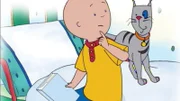 Caillou liest ein spannendes Piratenbuch. Doch ständig wird er beim Lesen gestört.