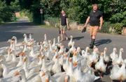 Franziska und Gregor sorgen mit ihrem Bauernhof mitten im nordhessischen Gilsa für Aufsehen.