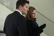 Seeley Booth (David Boreanaz, l.); Temperance Brennan (Emily Deschanel, r.)