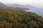 Die dicht bewaldeten und unbewohnten Berghänge des Mahale-Mountains-Nationalparks in Tansania sind wie geschaffen für Primaten.