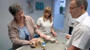 Dr. Tobias Neuberger berät die Hundebesitzerin Betty Birkenbeul vor der Operation ihrer Yorkshire Terrier Hündin.