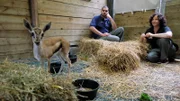 Jose Vasquez and Karen Ingerman check up on the baby gazelle.