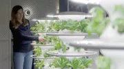 Korrespondentin Sophie Roupetz in einer „Vertical-Farm“ mitten in London. Hier wird Gemüse ohne Erde und Sonnenlicht angebaut.