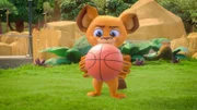Based on the global blockbuster movie franchise, Madagascar: A Little Wild features the lovable foursome Alex the Lion, Marty the Zebra, Melman the Giraffe and Gloria the Hippo as kids residing in their rescue habitat at a world-famous zoo. The series captures the iconic personalities of each of these four dynamos with the same humour and physical comedy and universal appeal that brought the beloved franchise to life. Join Alex, the leader of the squad; Marty, the group‚Äôs investigator; Melman, who loves to follow a routine; and Gloria, the confident dancer, as they embark on adventures and pursue their dreams.