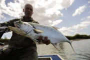 Landscape close up shot of Jeremy holding a Talang Queenfish Location: Western Australia