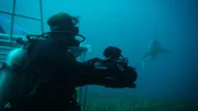 Diver.