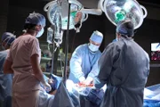 "Dr. House", "Hetzen und petzen." Ein Soldat wird unter strengster Bewachung im Princeton Plainsboro aufgenommen. Es wird im vorgeworfen ein militär-kritisches Video ins Netz gestellt zu haben. Keiner glaubt, dass er wirklich erkrankt ist, er wird verdächtig seine Beschwerden nur vorzutäusen, um so dem anstehenden Prozess zu entkommen. Obwohl House keine Ursachen für die Leiden finden kann, glaubt er dem Soldaten. Inzwischen macht sich das Team auch große Sorgen um House, den auch er scheint erkrankt zu sein.Im Bild (v.li.): Odette Annable (Dr. Jessica Adams), Jesse Spencer (Dr. Robert Chase).