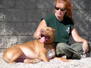 Tia is called in to help a pit bull that has grown out of control. Then, an adoption that seemed quite classic takes a turn for the worse, forcing Tia to question her methods.