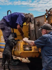 Max and Glenn fixing the digger.