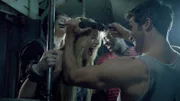 Derek (Tyler Hoechlin, re.) präpariert sein Rudel für den kommenden Vollmond...
