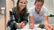 Ein Tag bei der Tierrettung 3